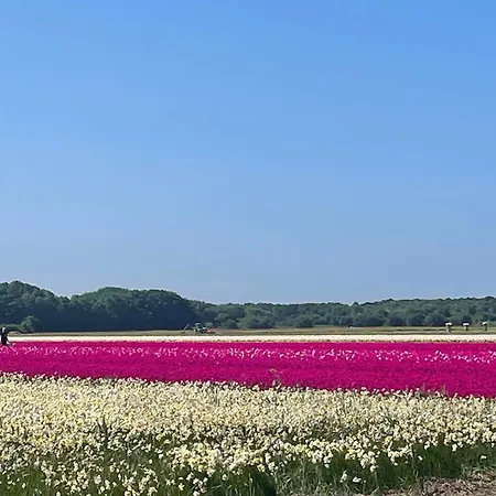 Sterflat 67 Apartment Egmond aan Zee
