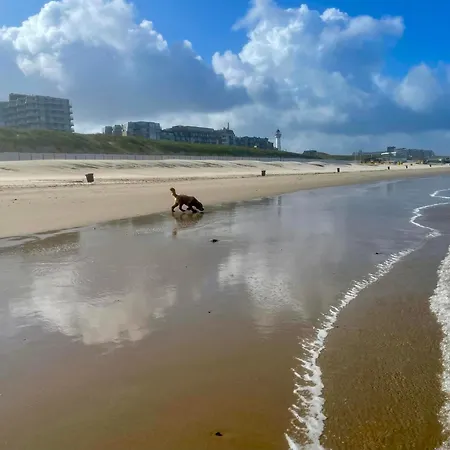 Sterflat 67 Apartment *