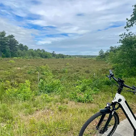 Apartment Sterflat 67 Egmond aan Zee