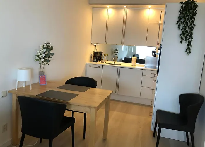 Sterflat 67 Apartment Egmond aan Zee