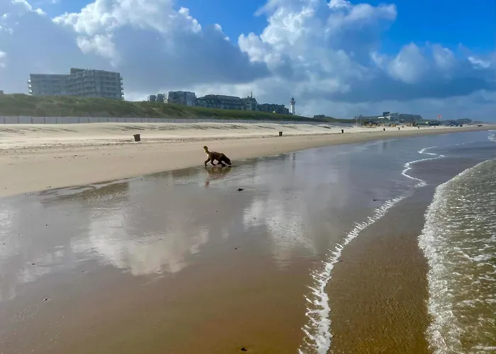 Sterflat 67 Apartment *