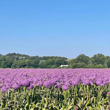 Apartmán Sterflat 67 Egmond aan Zee