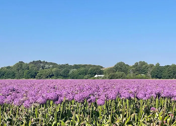 Apartmán Sterflat 67 Egmond aan Zee
