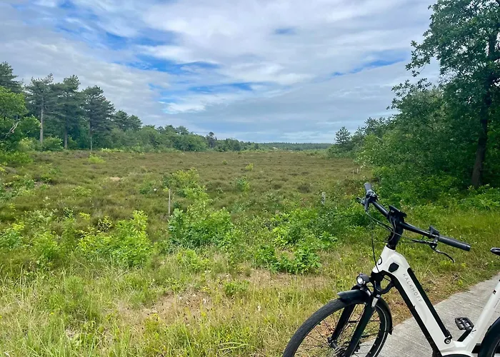 Apartmán Sterflat 67 Egmond aan Zee